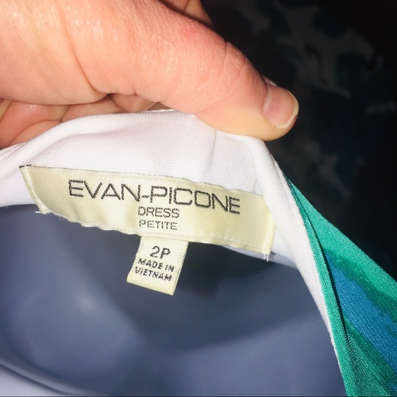 COPY - Evan Picone Floral A-Line Dress with Lining - Picture 5 of 13